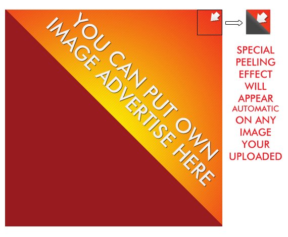 Foto 2: Banner de Canto Descolando