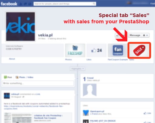 Foto 8: Pestaña de Ventas de Facebook