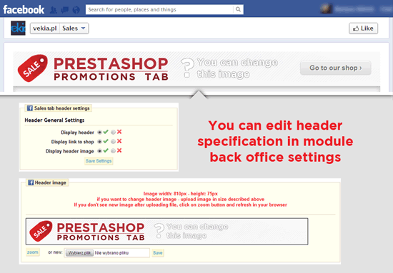 Foto 6: Pestaña de Ventas de Facebook