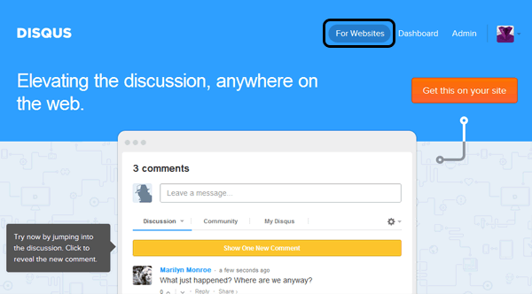 Foto 12: DISQUS Kommentare