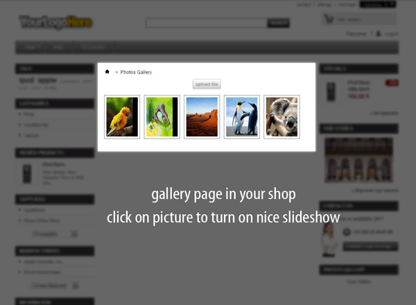 Zdjęcie 20: Galeria zdjęć