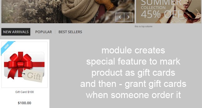 Foto 23: Tarjetas de regalo: vender códigos de cupón