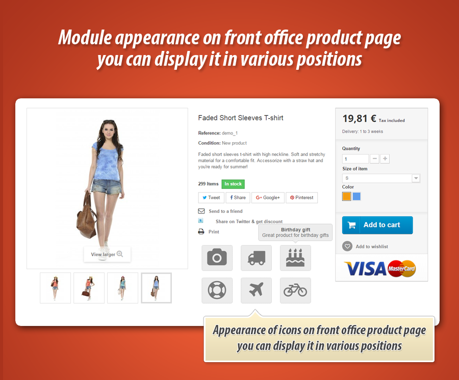 Foto 14: Iconos de etiqueta de producto Pro