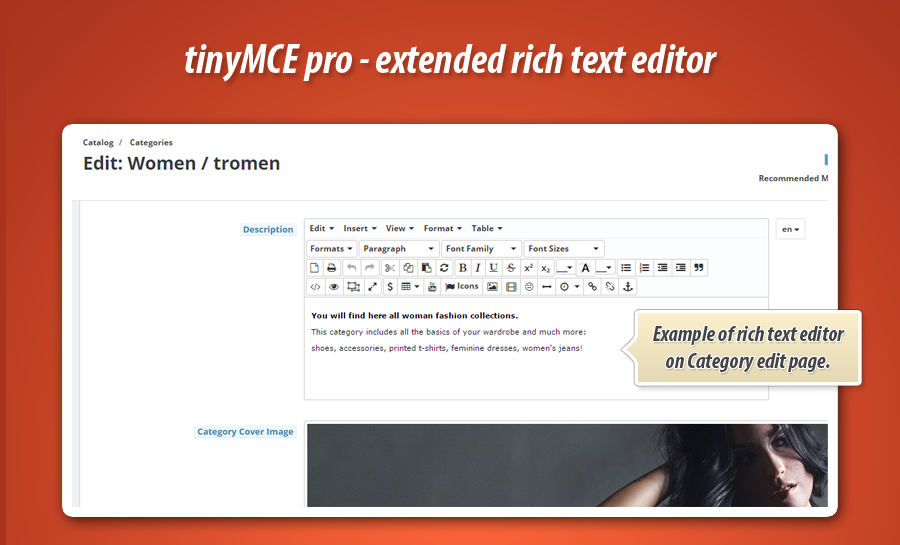 3-tinymce-pro-category-edit-page-descrip