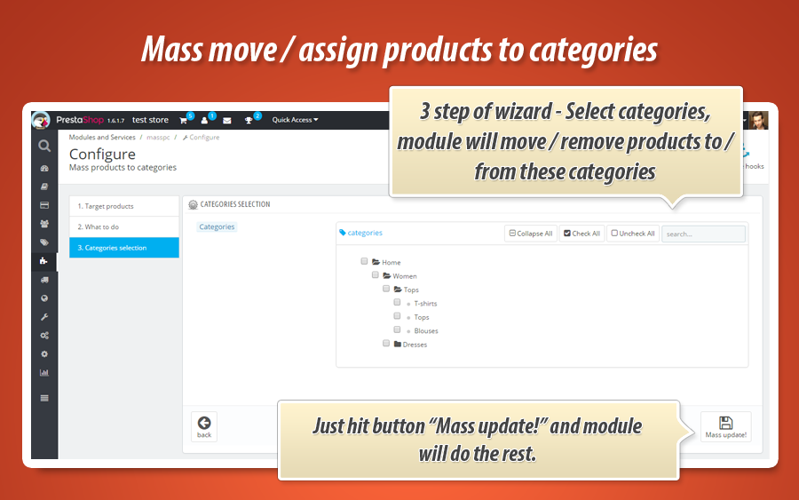 Foto 5: Mover / Atribuir Produtos a Categorias em Massa