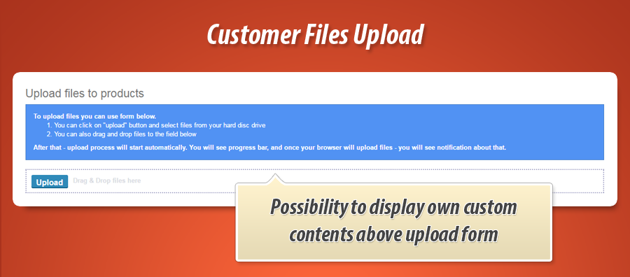 Custom text and upload field on product page