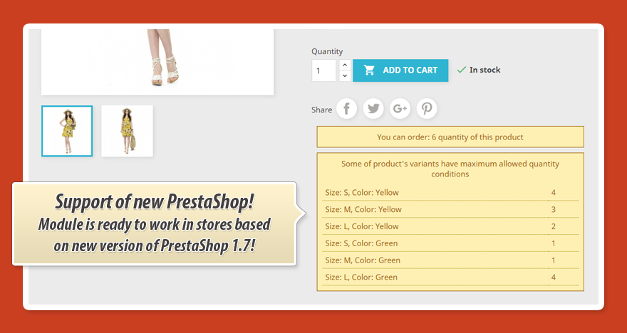 Image 16: Maximum product quantity