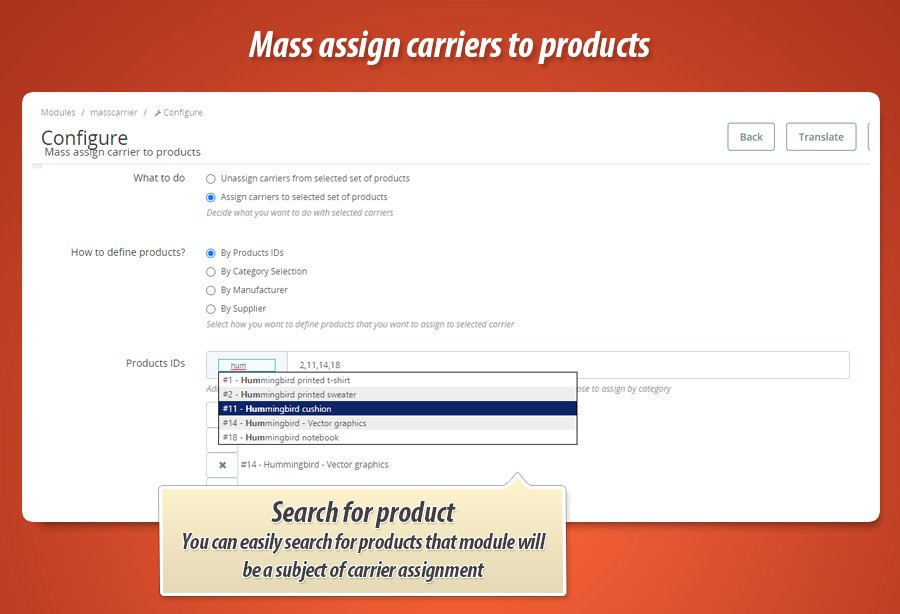 Photo 1: Attribuer transporteur en masse
